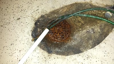 basement drain cleaner